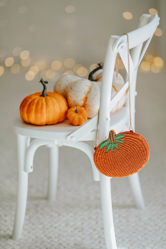 Orange beaded pumpkin purse for girls or women, featuring green stem and chain strap, styled for autumn, Halloween, or pumpkin patch season accessories.
Pumpkin handbag with intricate beadwork and leaf detailing, hanging on a chair with festive pumpkins, styled as a fall accessory or Halloween purse.
Seasonal pumpkin-shaped clutch with detailed beading and gold shoulder strap, perfect for autumn photos, trick-or-treat outfits, or Thanksgiving fashion.