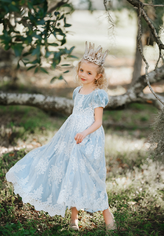 Regency Gown Cinderella
