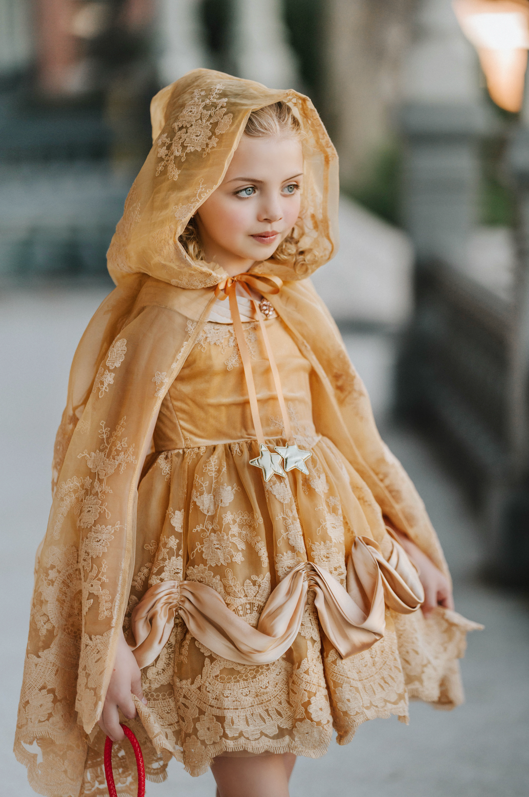Red Rose Lace Princess Cape With Hood