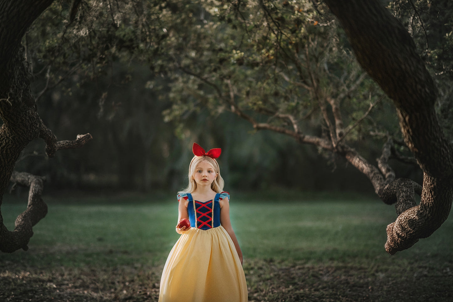 A young girl stands in a forest wearing the Portrait Collection Snow White Gown. The gown is velvet blue and a light yellow skirt with a red ribbon criss cross accent on the bodice. The dress is sleeveless with a red and blue flutter ruffle on the top.