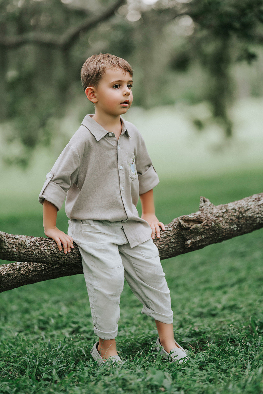 Boys beige button-up shirt with embroidered white pumpkin on chest pocket, hanging on vintage carved mirror for fall or Thanksgiving

Neutral boys fall shirt with embroidered pumpkin on pocket, styled for autumn photos, Thanksgiving, or sibling matching sets

Classic boys button-down shirt in light tan with embroidered blue pumpkin, perfect for harvest season or family portraits

Fall button-up shirt for toddlers and boys with embroidered pumpkin pocket detail, styled for Thanksgiving and heirloom outfits

