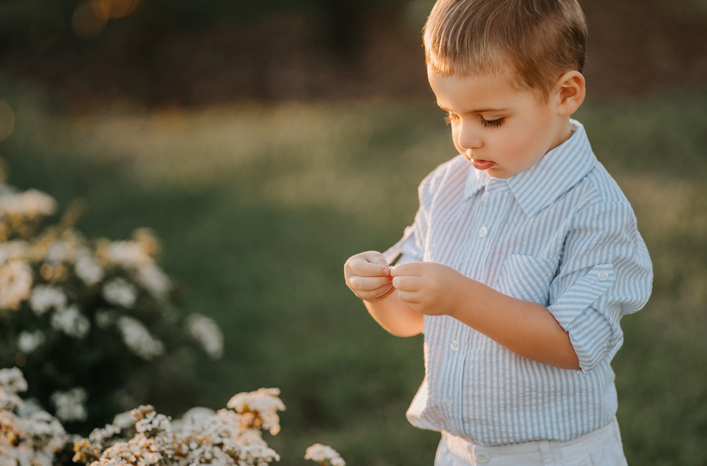 A young boy wears a long sleeve button up collared shirt. A light blue and white vertical seersucker shirt with a pocket on the left chest. 