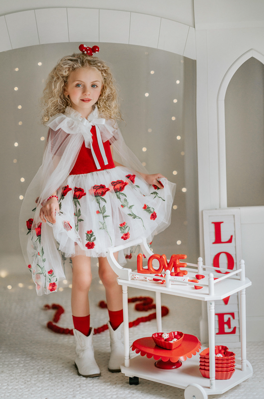 Garden Red Rose Princess Embroidered Tutu Dress