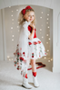 Red Rose Embroidered Princess Tutu Dress