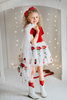 Garden Red Rose Princess Embroidered Tutu Dress