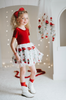 Red Rose Embroidered Princess Tutu Dress