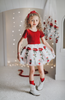 Red Rose Embroidered Princess Tutu Dress