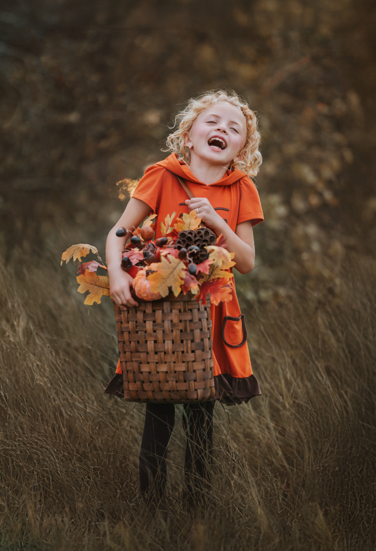 Autumn Fox Twirl Dress