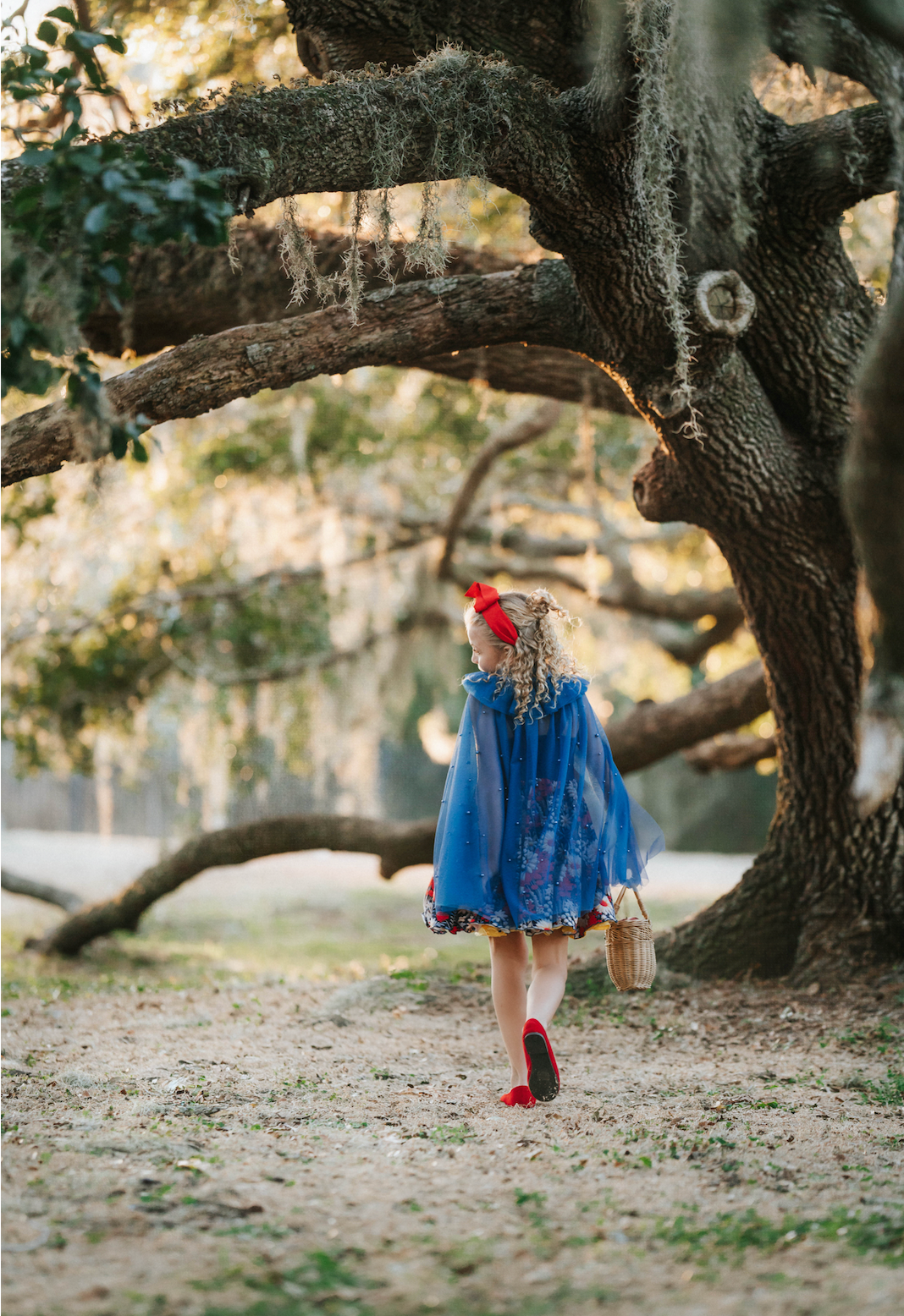 Royal Blue Pearl Accent Princess Cape