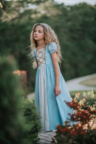 Cinderella Maxi Dress