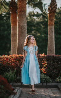 Cinderella Maxi Dress