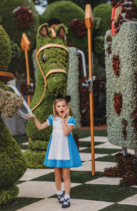 Alice Tea Party Dress with Pinafore