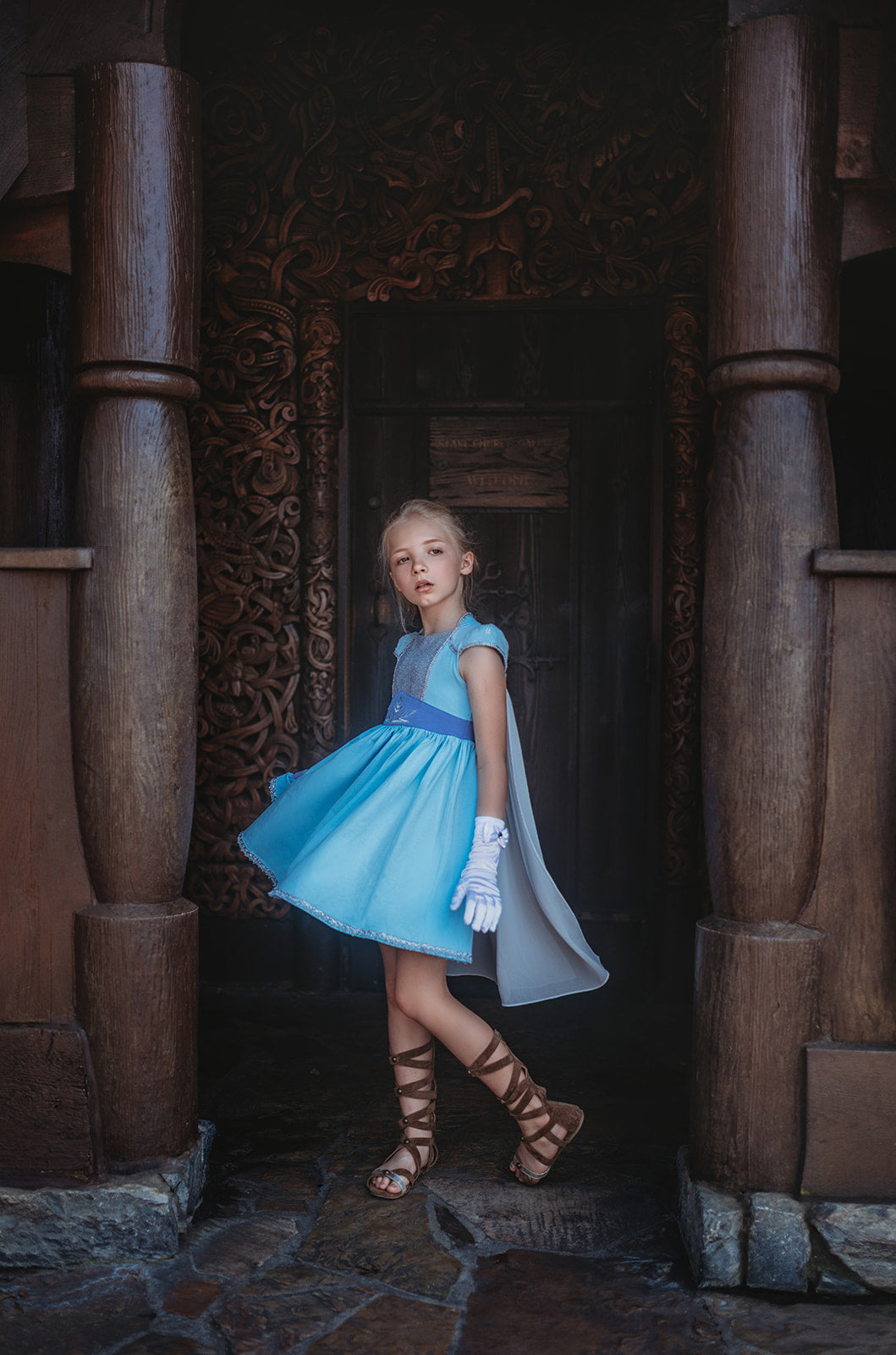 Dress Like Queen Elsa Costume