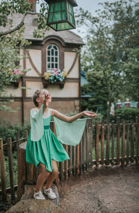 Fairy Twirl Dress