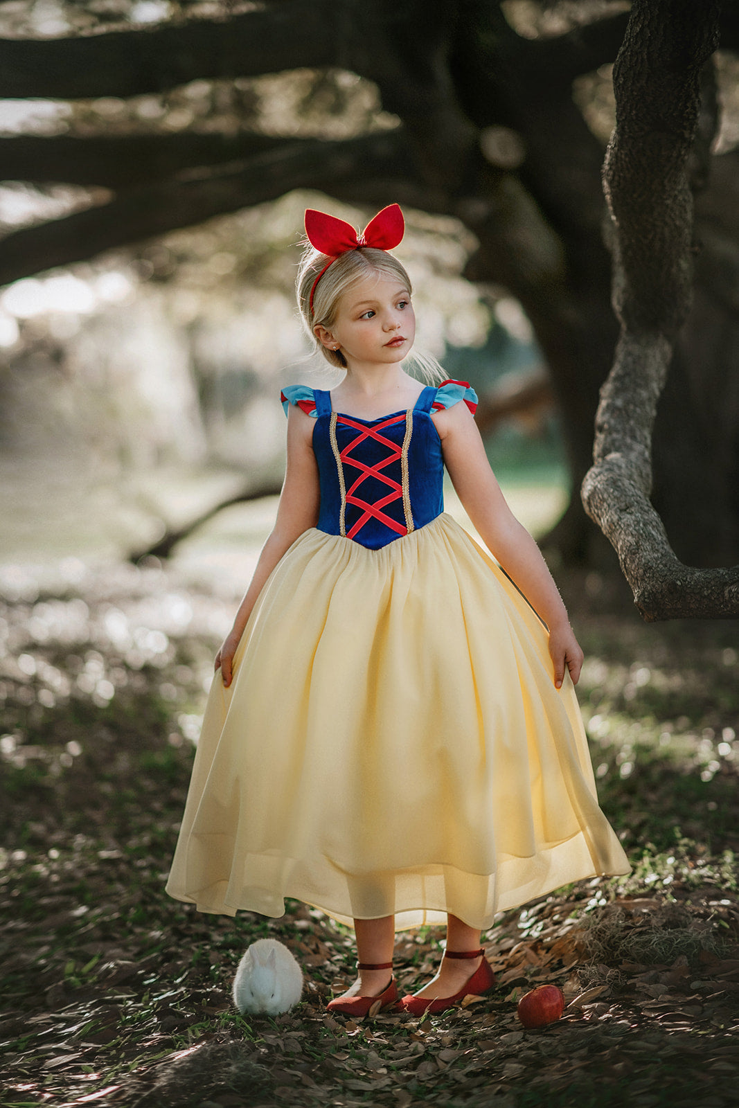 Portrait Collection Snow White Gown 6