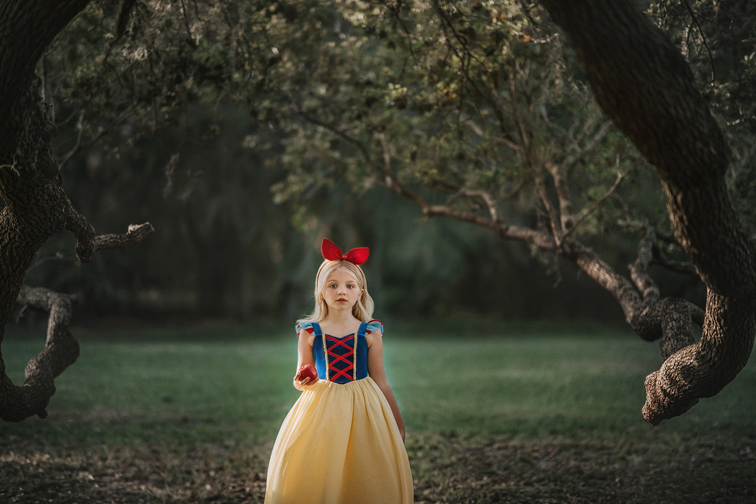 Portrait Collection Snow White Gown – Only Little Once Portrait Collection Snow White Gown – Only Little Once