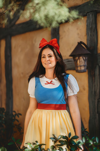 Adult Snow White Dress